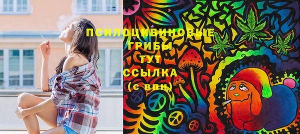 спайс Богданович