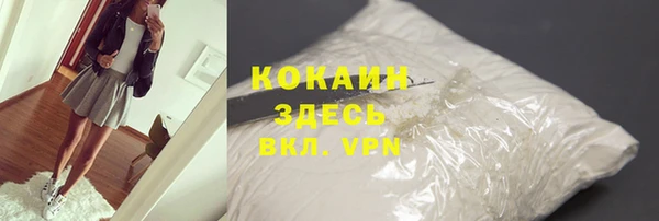 спайс Богданович