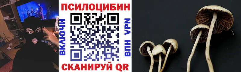 Псилоцибиновые грибы MAGIC MUSHROOMS  Лыткарино 