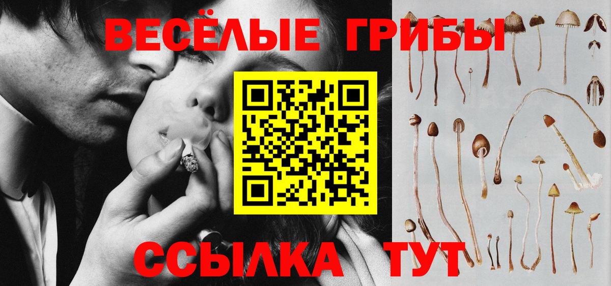 Галлюциногенные грибы Magic Shrooms Лыткарино