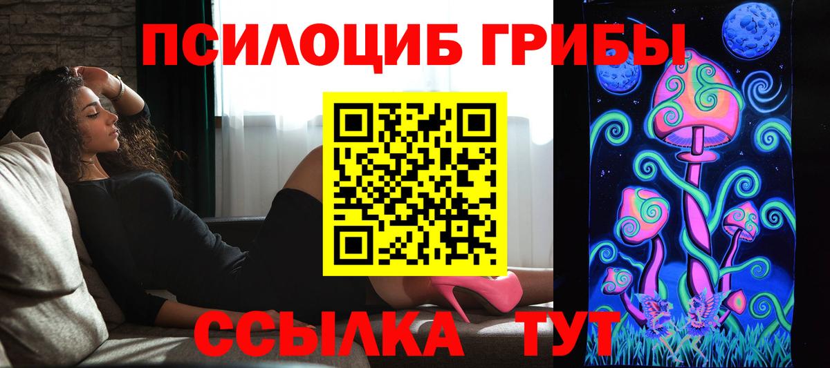 Галлюциногенные грибы Psilocybine cubensis  Вход с VPN  Лыткарино 